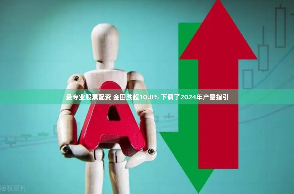 最专业股票配资 金田跌超10.8% 下调了2024年产量指引