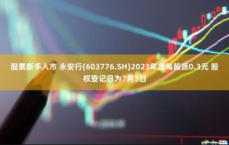 股票新手入市 永安行(603776.SH)2023年度每股派0.3元 股权登记日为7月3日