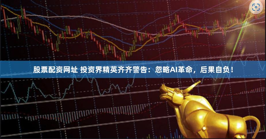 股票配资网址 投资界精英齐齐警告：忽略AI革命，后果自负！