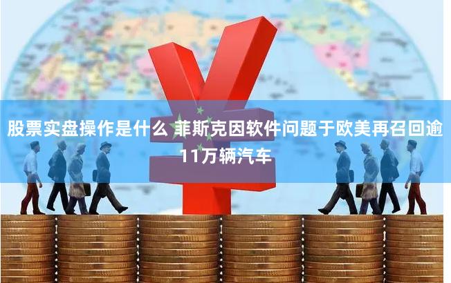 股票实盘操作是什么 菲斯克因软件问题于欧美再召回逾11万辆汽车
