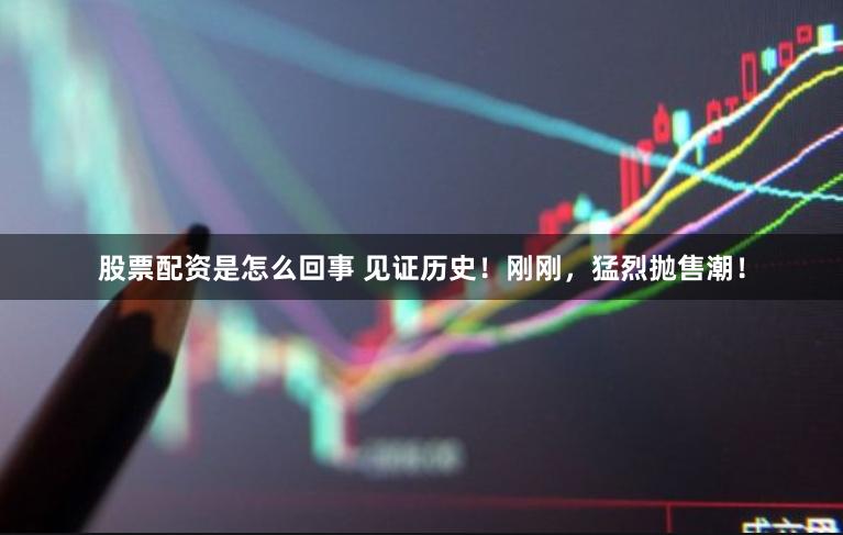 股票配资是怎么回事 见证历史！刚刚，猛烈抛售潮！