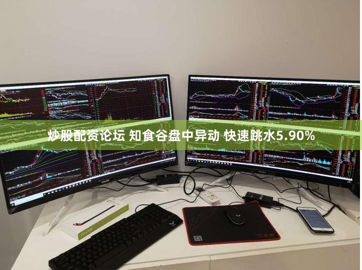 炒股配资论坛 知食谷盘中异动 快速跳水5.90%