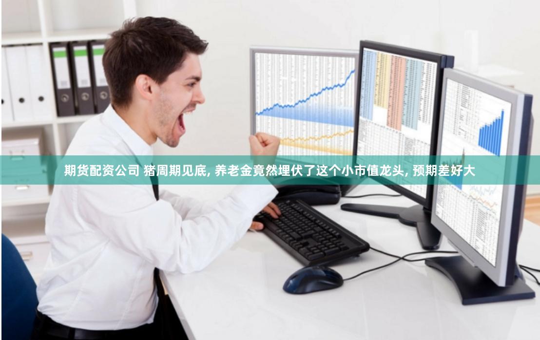 期货配资公司 猪周期见底, 养老金竟然埋伏了这个小市值龙头, 预期差好大