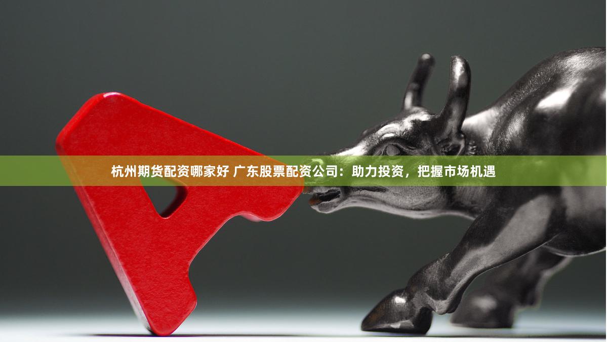 杭州期货配资哪家好 广东股票配资公司：助力投资，把握市场机遇