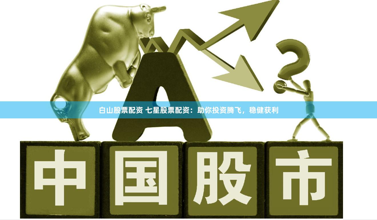 白山股票配资 七星股票配资：助你投资腾飞，稳健获利