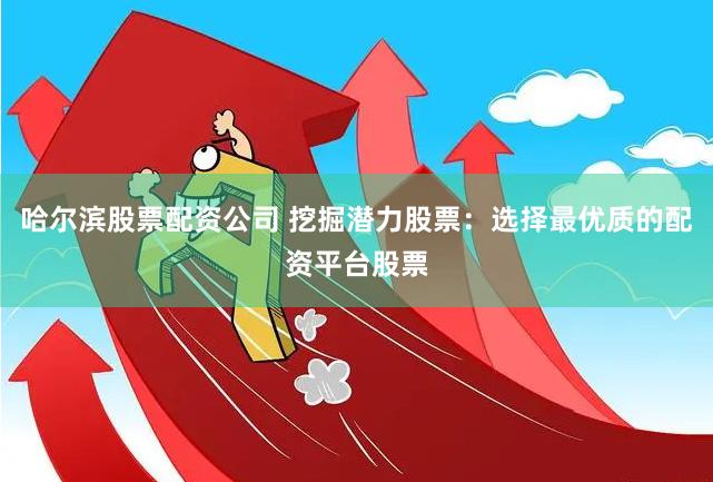 哈尔滨股票配资公司 挖掘潜力股票：选择最优质的配资平台股票